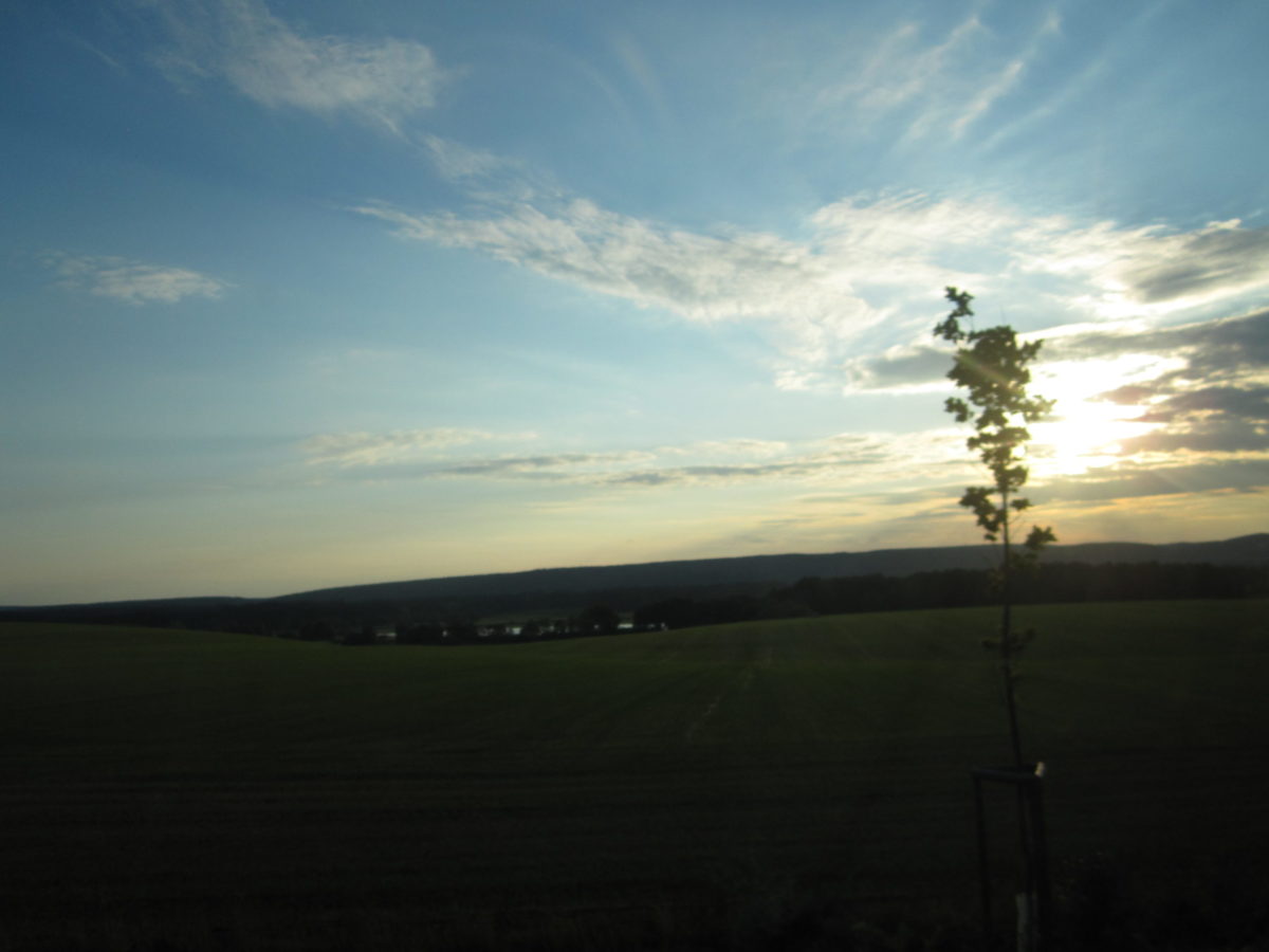 鎌倉・由比ガ浜チェロ教室